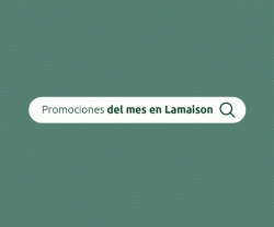 Promociones del Mes