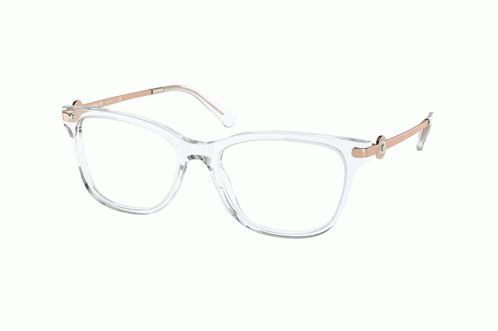 Coach 6176 - Transparente