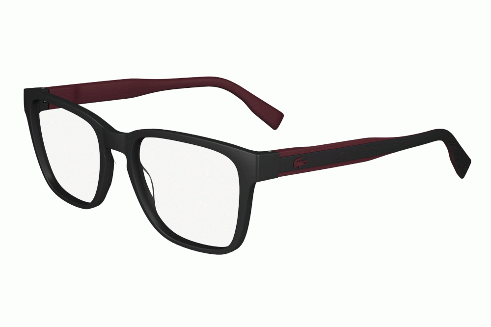 Armazn Lacoste 2935