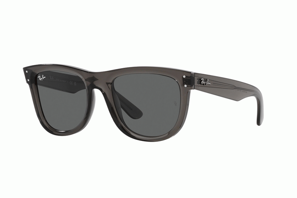 RayBan Wayfarer Reverse - Gris