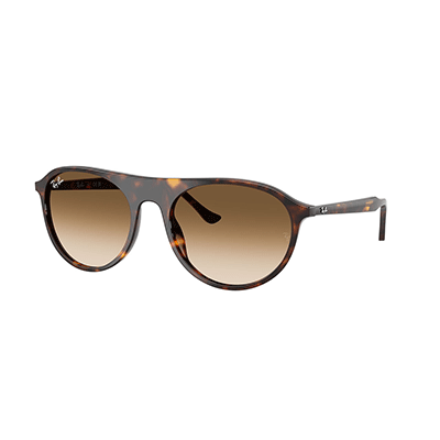 RayBan 2215