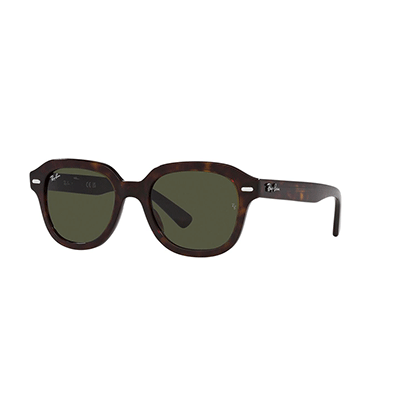 Lente de Sol RayBan N 4398 - Carey
